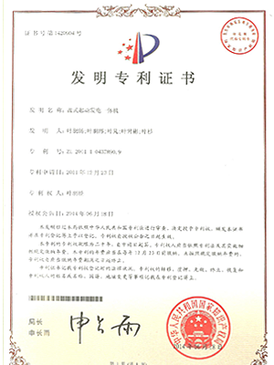 盘式起动发电一体机.png